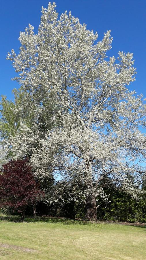 Chambres D'Hotes Le Muguet Mandacou エクステリア 写真